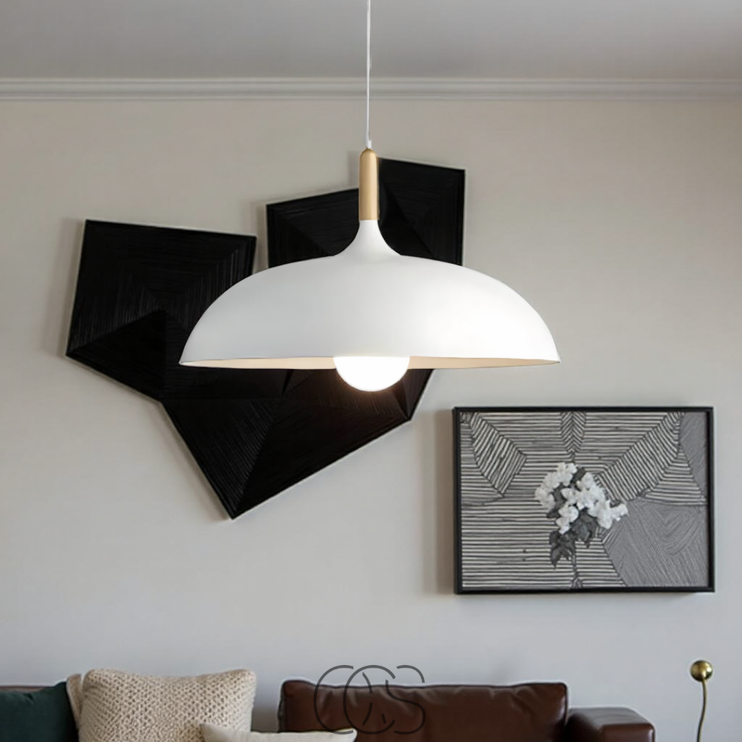 Lereks - Modern Matte Black Ceiling Lamp