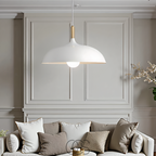 Lereks - Modern Matte Black Ceiling Lamp