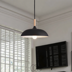 Lereks - Modern Matte Black Ceiling Lamp